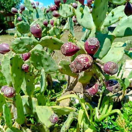 Nyaraló Trulli Del Panorama *