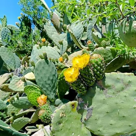 Trulli Del Panorama Nyaraló Villa Castelli